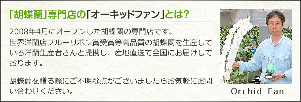 ｢胡蝶蘭｣専門店の｢オーキッドファン｣とは？