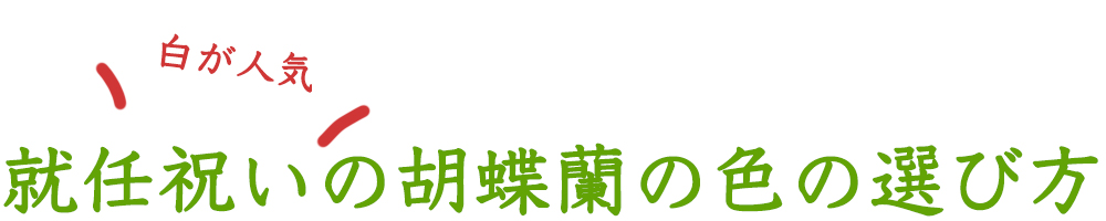 就任祝いの胡蝶蘭の色の選び方