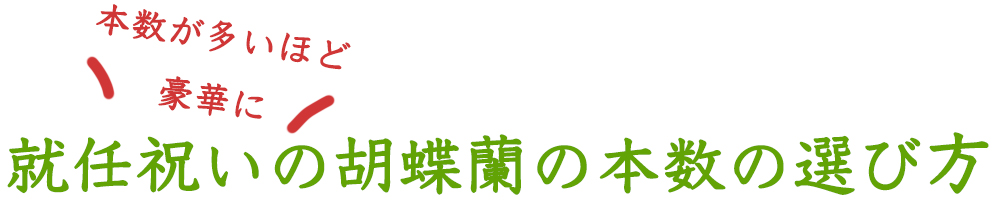 就任祝いの胡蝶蘭の本数の選び方