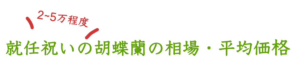 就任祝いの胡蝶蘭の相場・平均価格