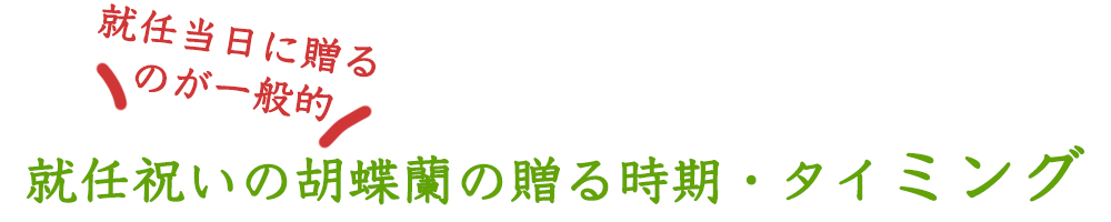 就任祝いの胡蝶蘭の贈る時期・タイミング