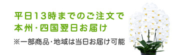 平日13時までのご注文で 本州・四国翌日お届け ※一部商品・地域は当日お届け可能